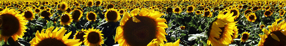 K_Line Christian Online Rotating Header Image