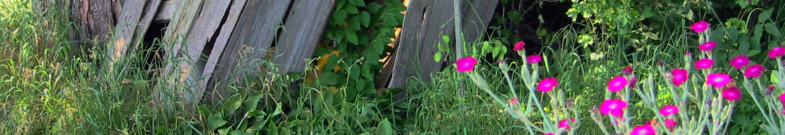 K_Line Christian Online Rotating Header Image