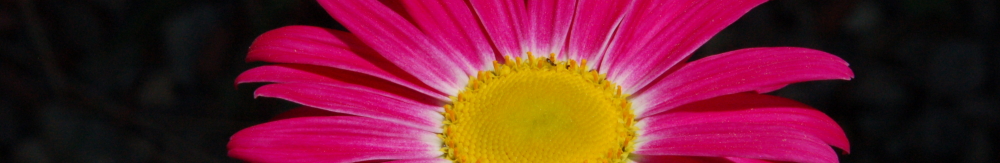 K_Line Christian Online Rotating Header Image