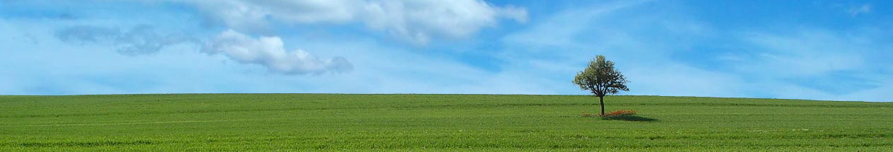 K_Line Christian Online Rotating Header Image
